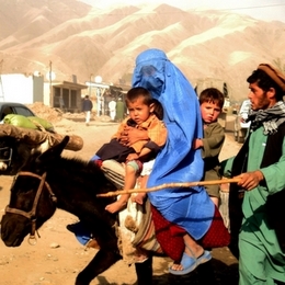 Афганистан 2008-2009